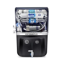 Kent Grand Plus - B